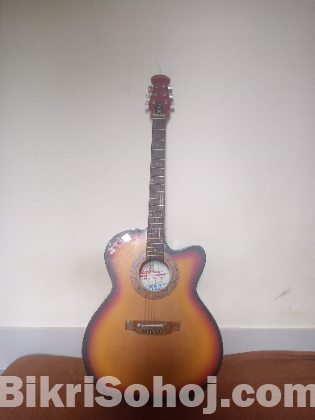 Signature 265BK Guitar is up for sale